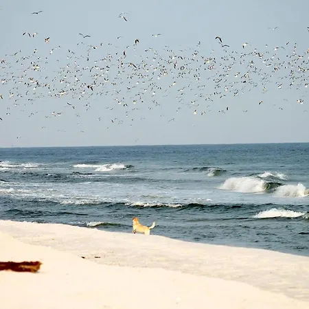 White Pearl 2.15 Timmendorfer Strand